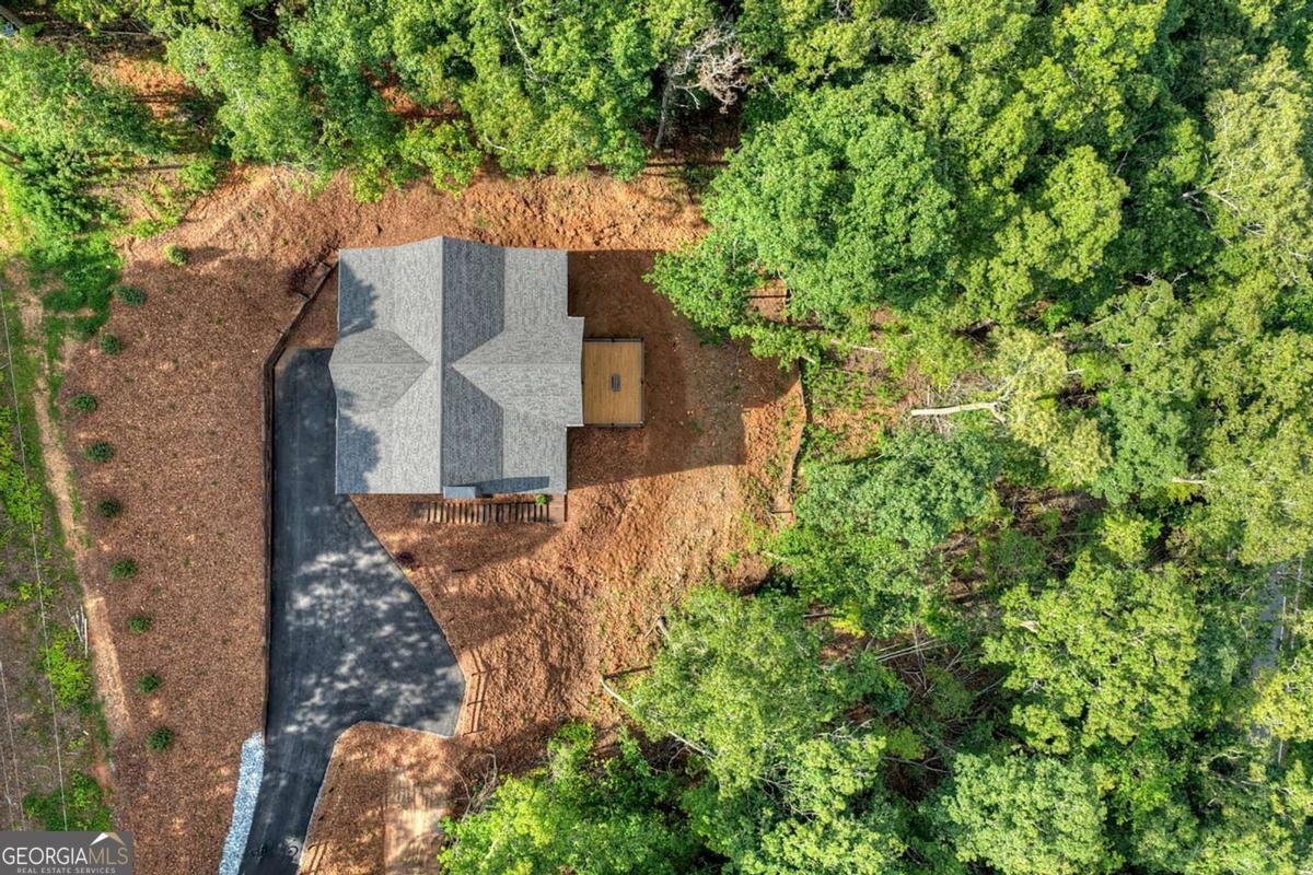 1729 Barnes Chapel Road Blue Ridge - Photo 56