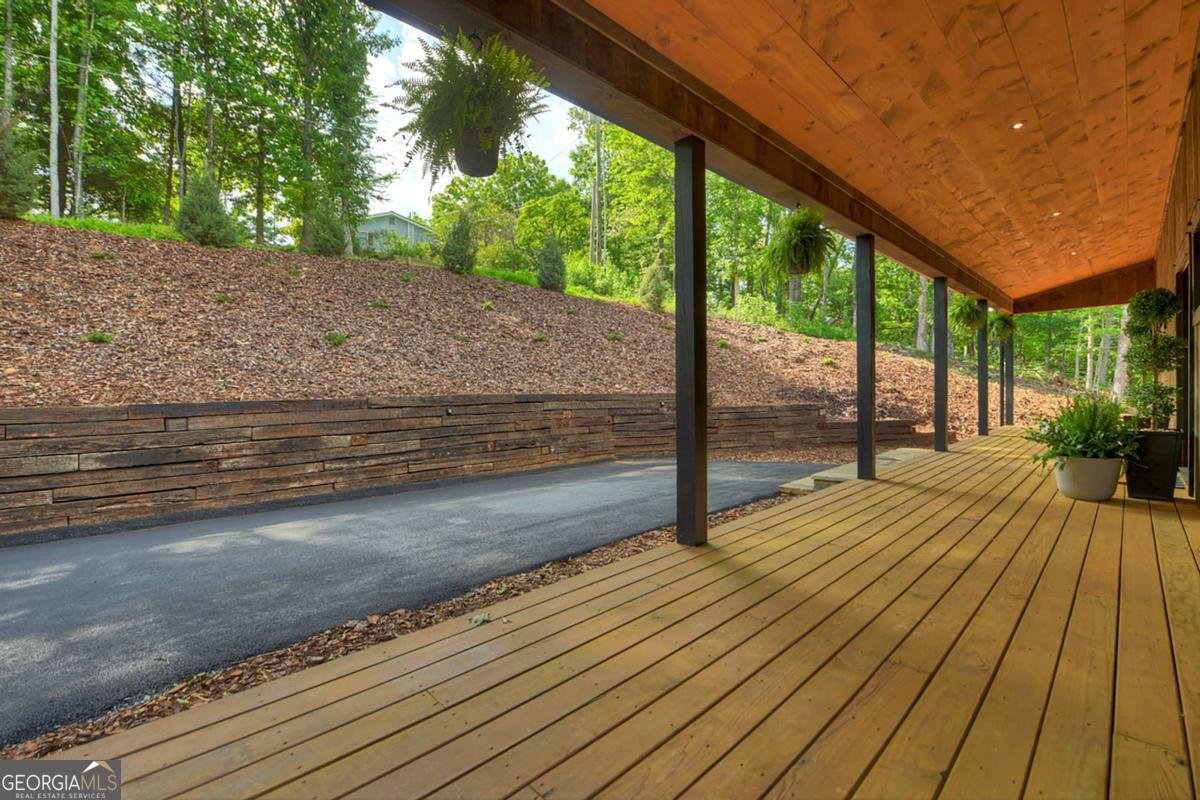 1729 Barnes Chapel Road Blue Ridge - Photo 61
