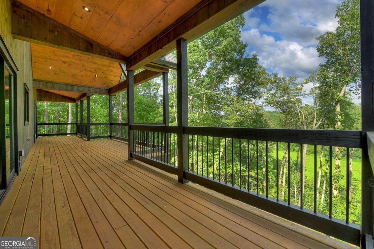 1729 Barnes Chapel Road Blue Ridge - Photo 62
