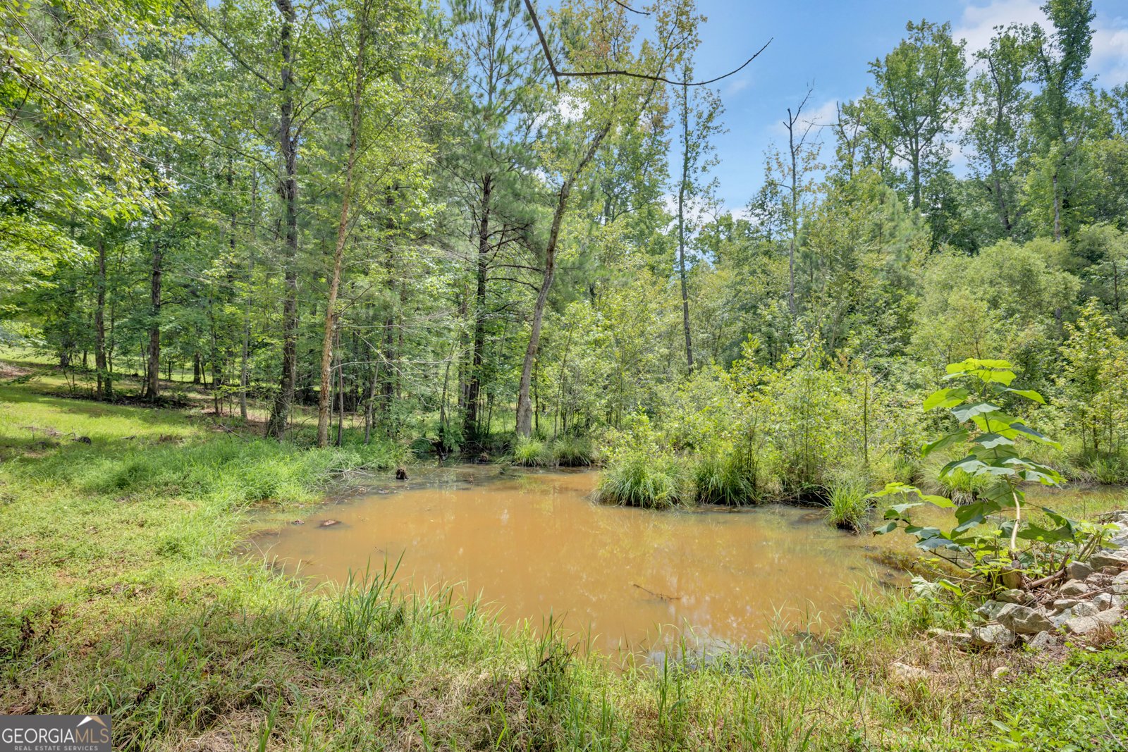 1276 Long Piney Road Mansfield - Photo 43