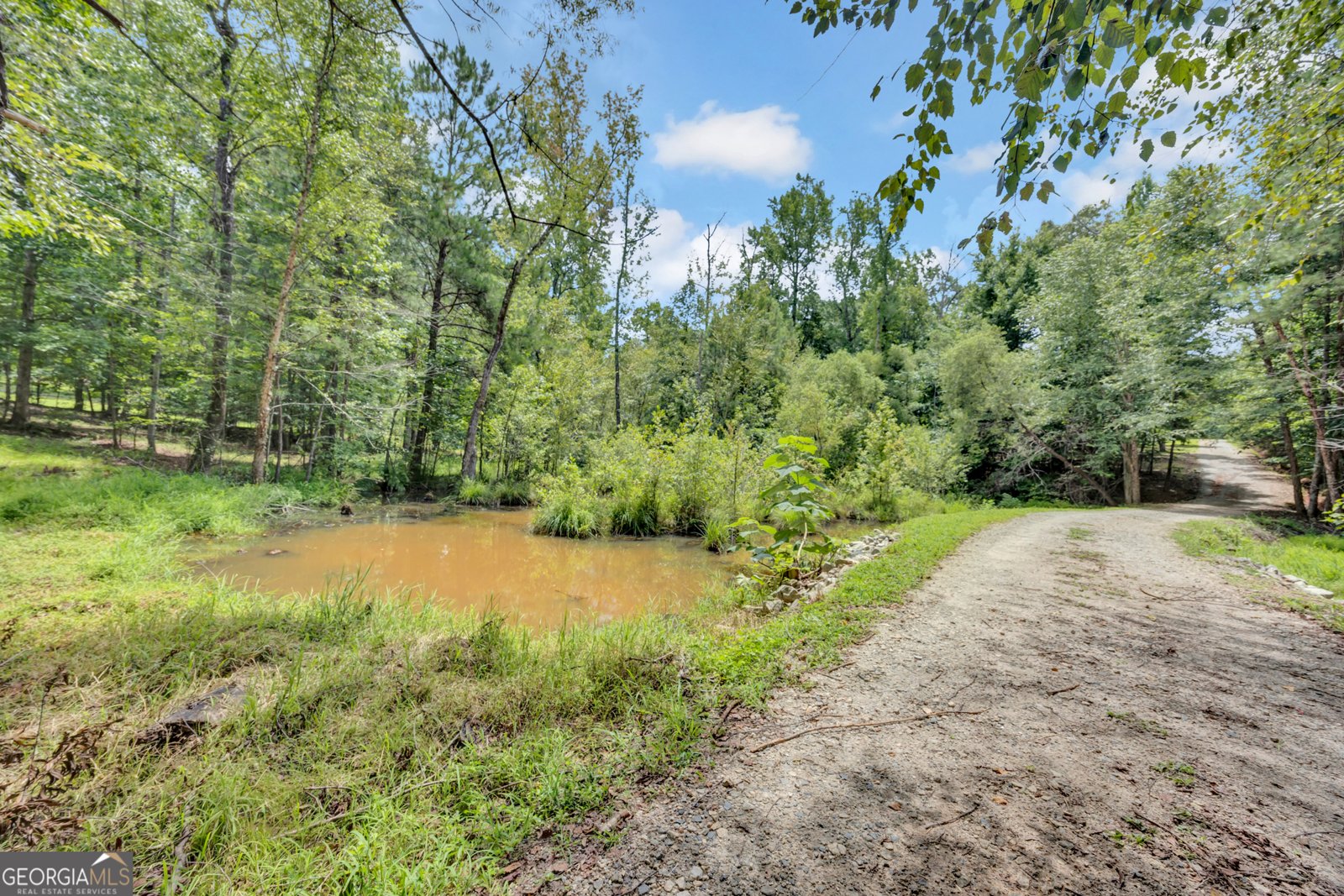 1276 Long Piney Road Mansfield - Photo 50
