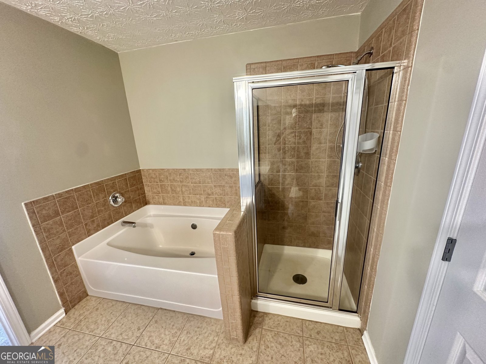 41 Hidden Hickory Court Dawsonville - Photo 10
