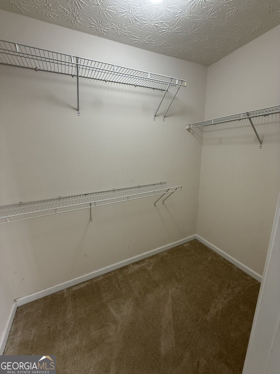 41 Hidden Hickory Court Dawsonville - Photo 25