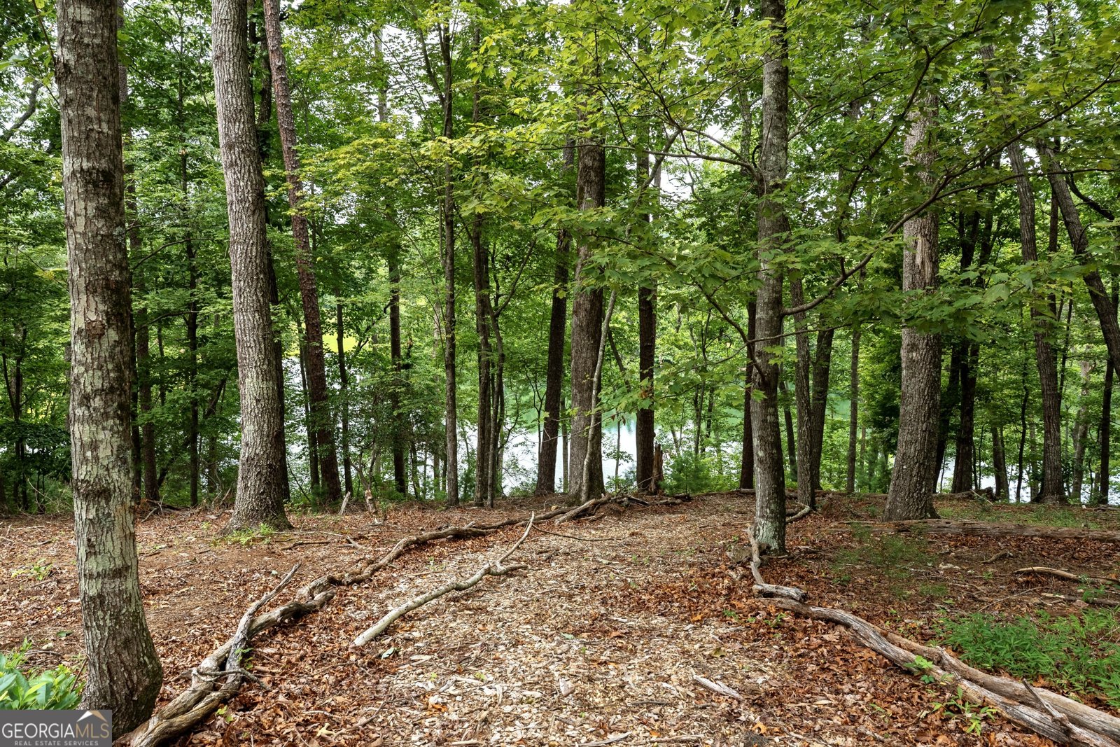 501 High Meadow Lakes Road Clarkesville - Photo 31