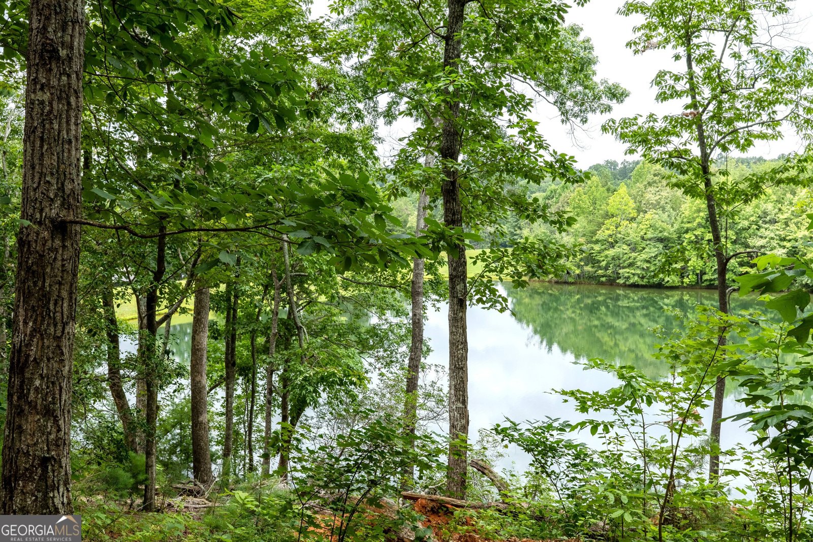 501 High Meadow Lakes Road Clarkesville - Photo 32