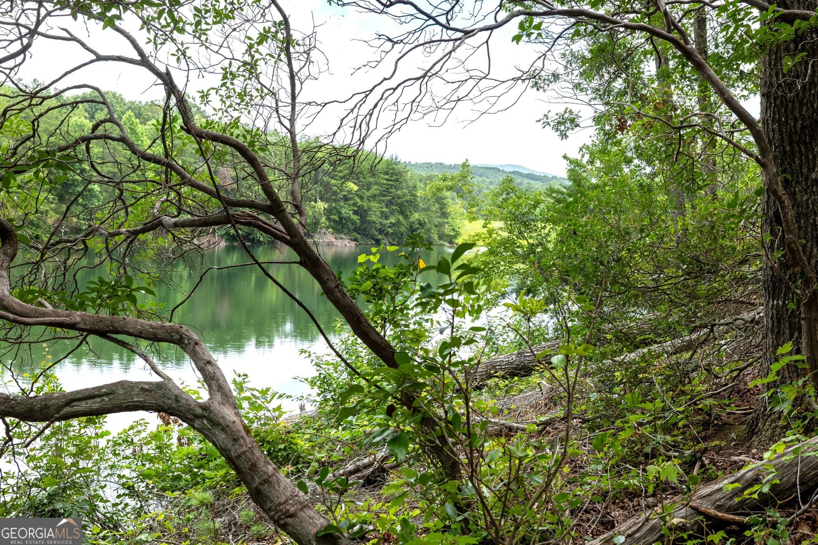 501 High Meadow Lakes Road Clarkesville - Photo 33