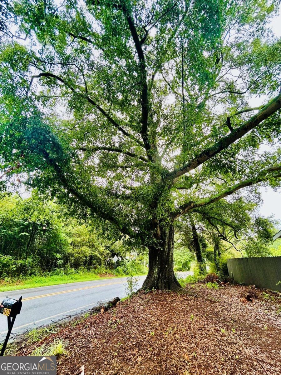 8835 Jot Em Down Road Gainesville - Photo 8