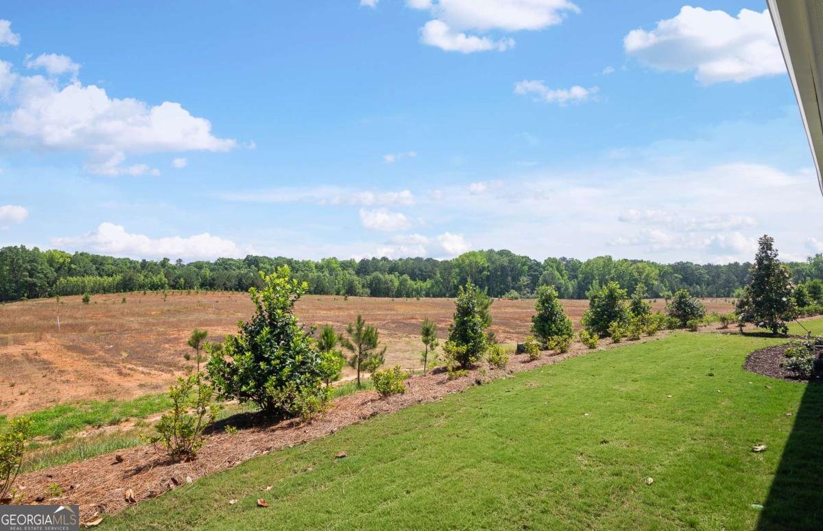 141 Kenney Way Locust Grove - Photo 33