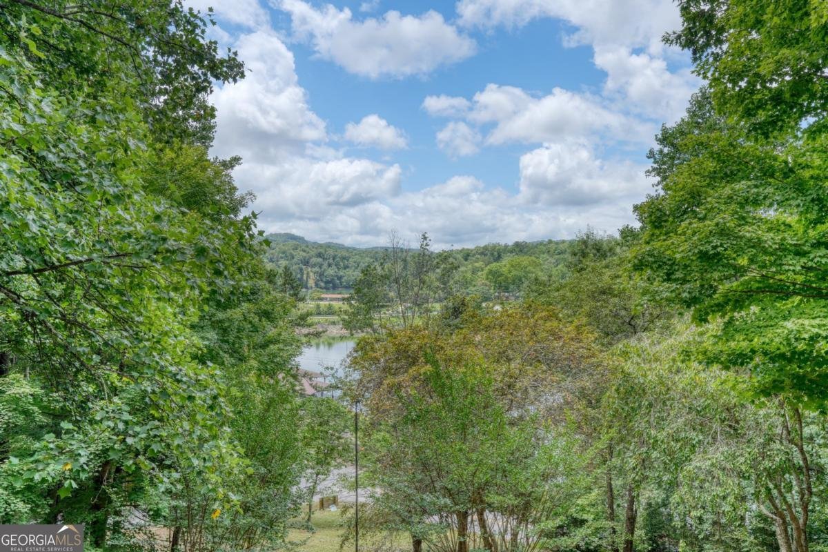 61 Deerwood Trail Blairsville - Photo 52