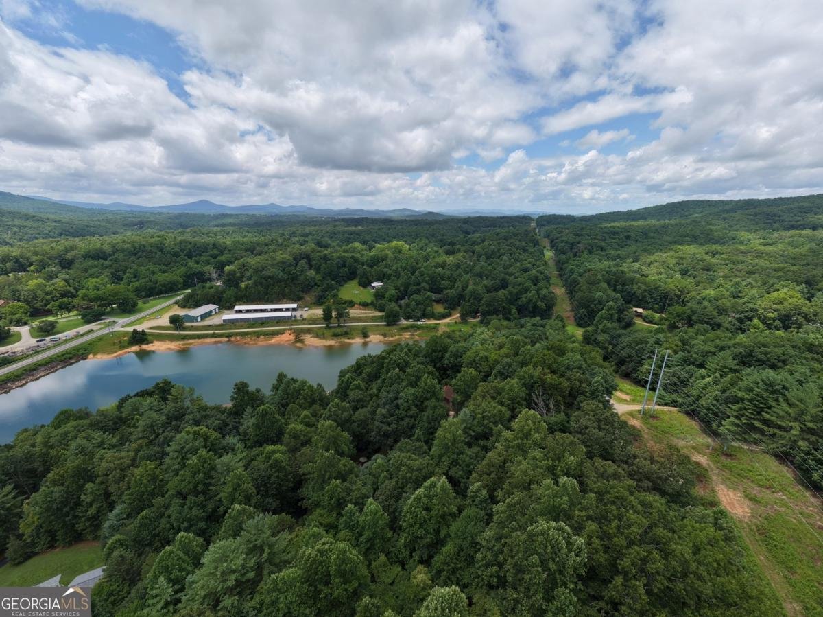 61 Deerwood Trail Blairsville - Photo 61