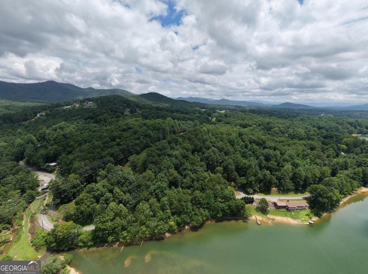 61 Deerwood Trail Blairsville - Photo 63