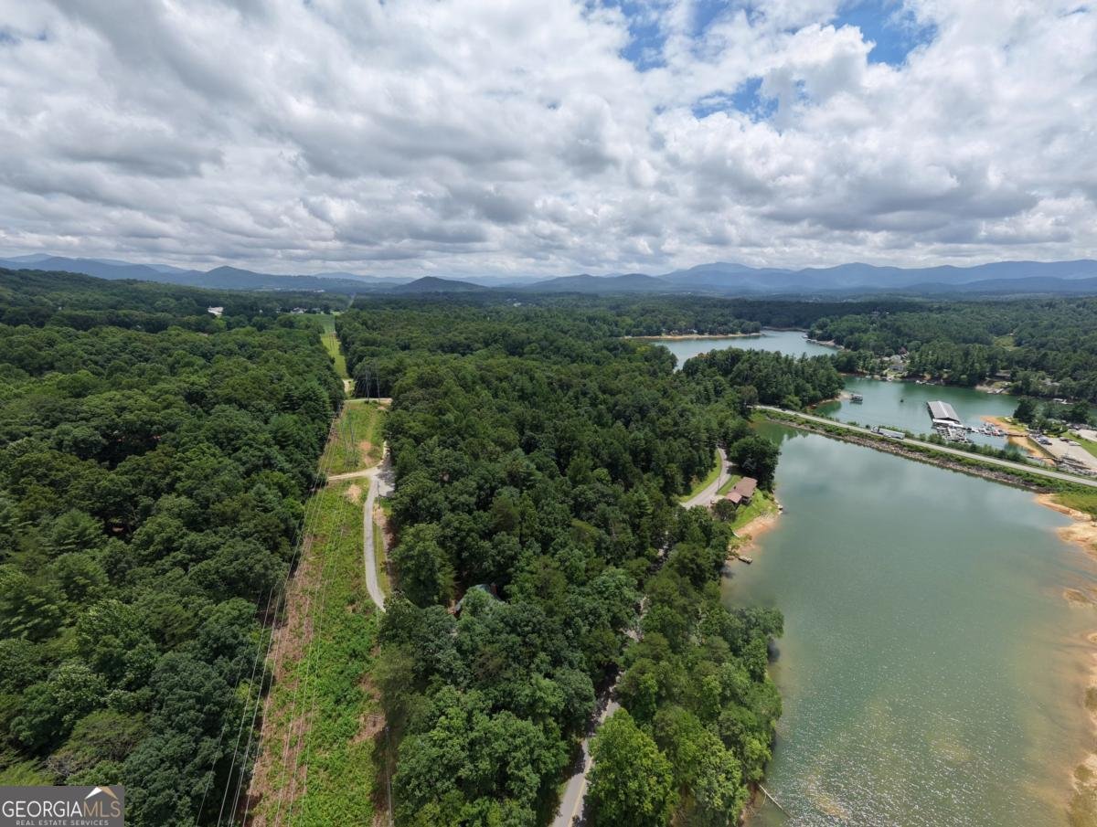 61 Deerwood Trail Blairsville - Photo 64
