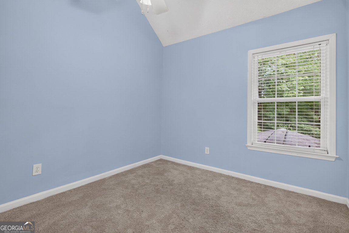 60 Tyler Woods Drive Sharpsburg - Photo 39