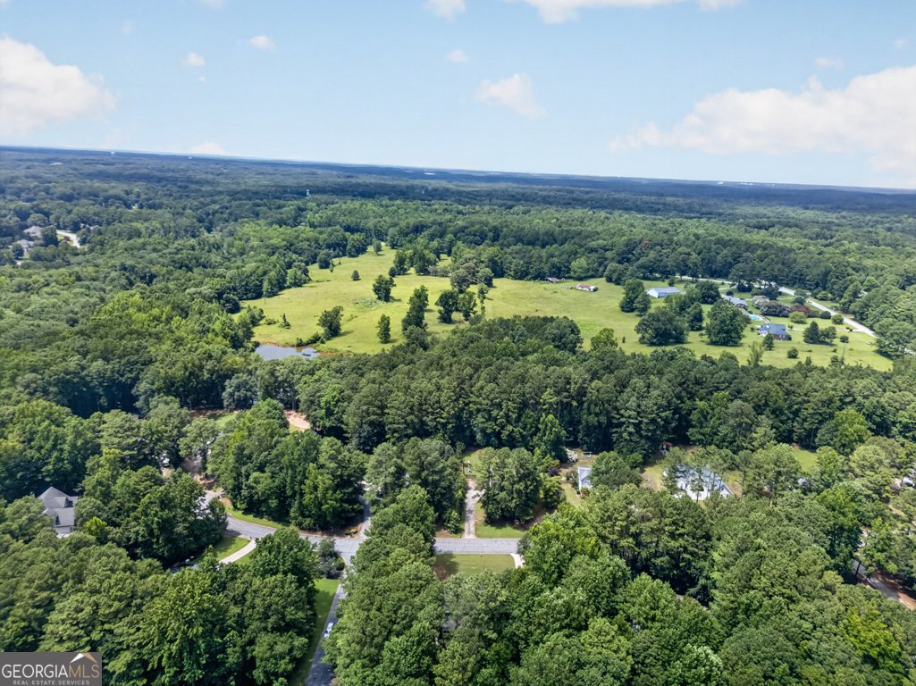 60 Tyler Woods Drive Sharpsburg - Photo 66
