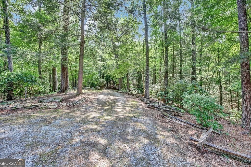 450 Flat Creek Circle Blue Ridge - Photo 101