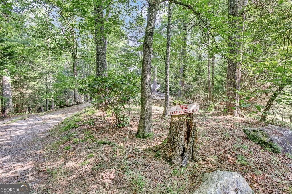 450 Flat Creek Circle Blue Ridge - Photo 85