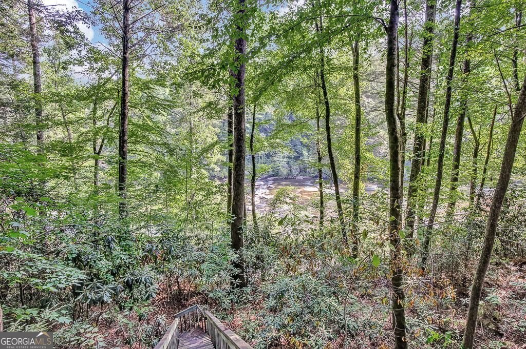 450 Flat Creek Circle Blue Ridge - Photo 92