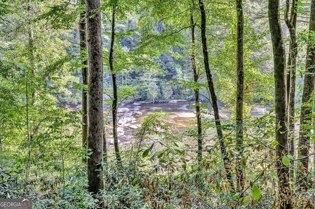 450 Flat Creek Circle Blue Ridge - Photo 94