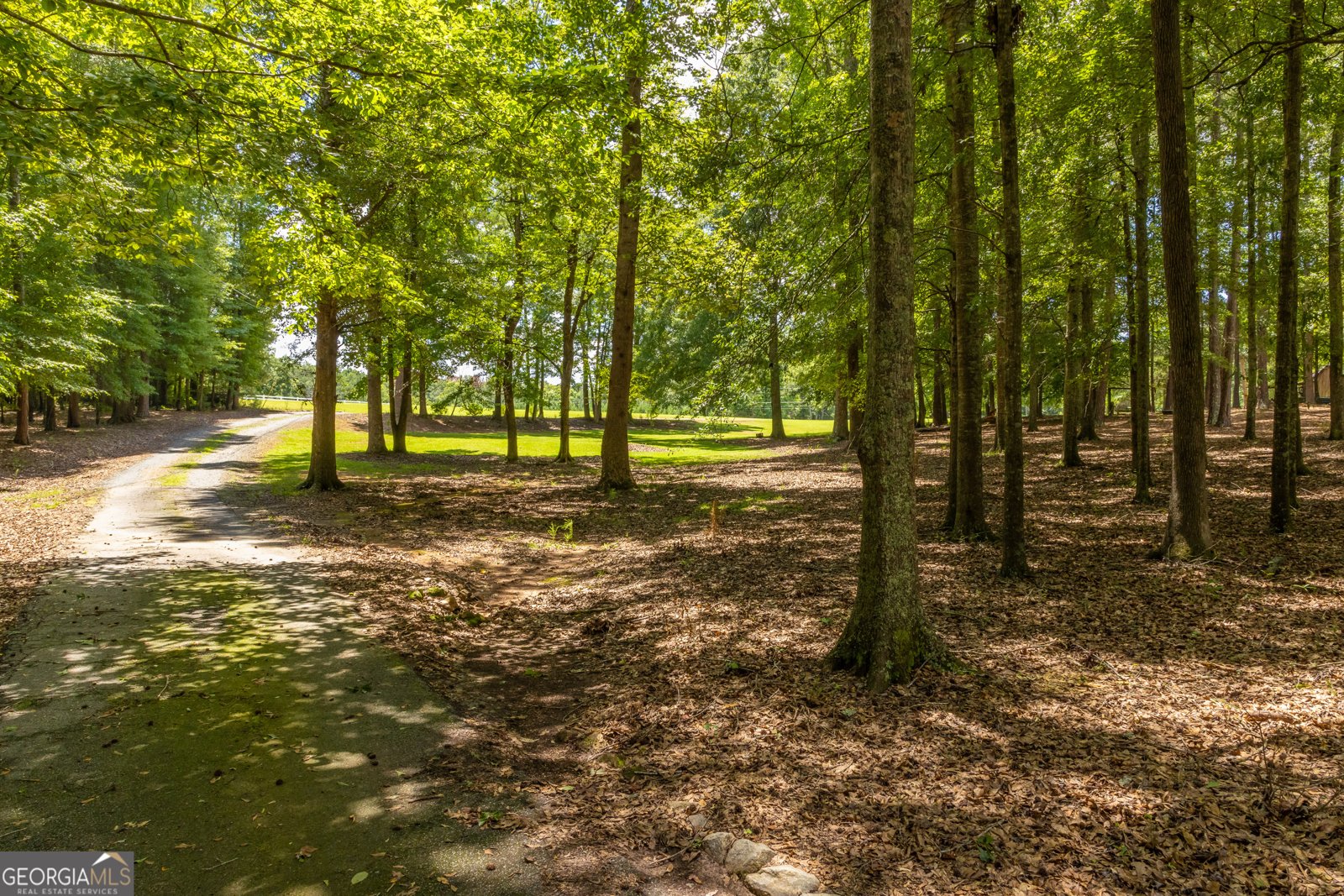 624 Spring Creek Road Thomaston - Photo 91