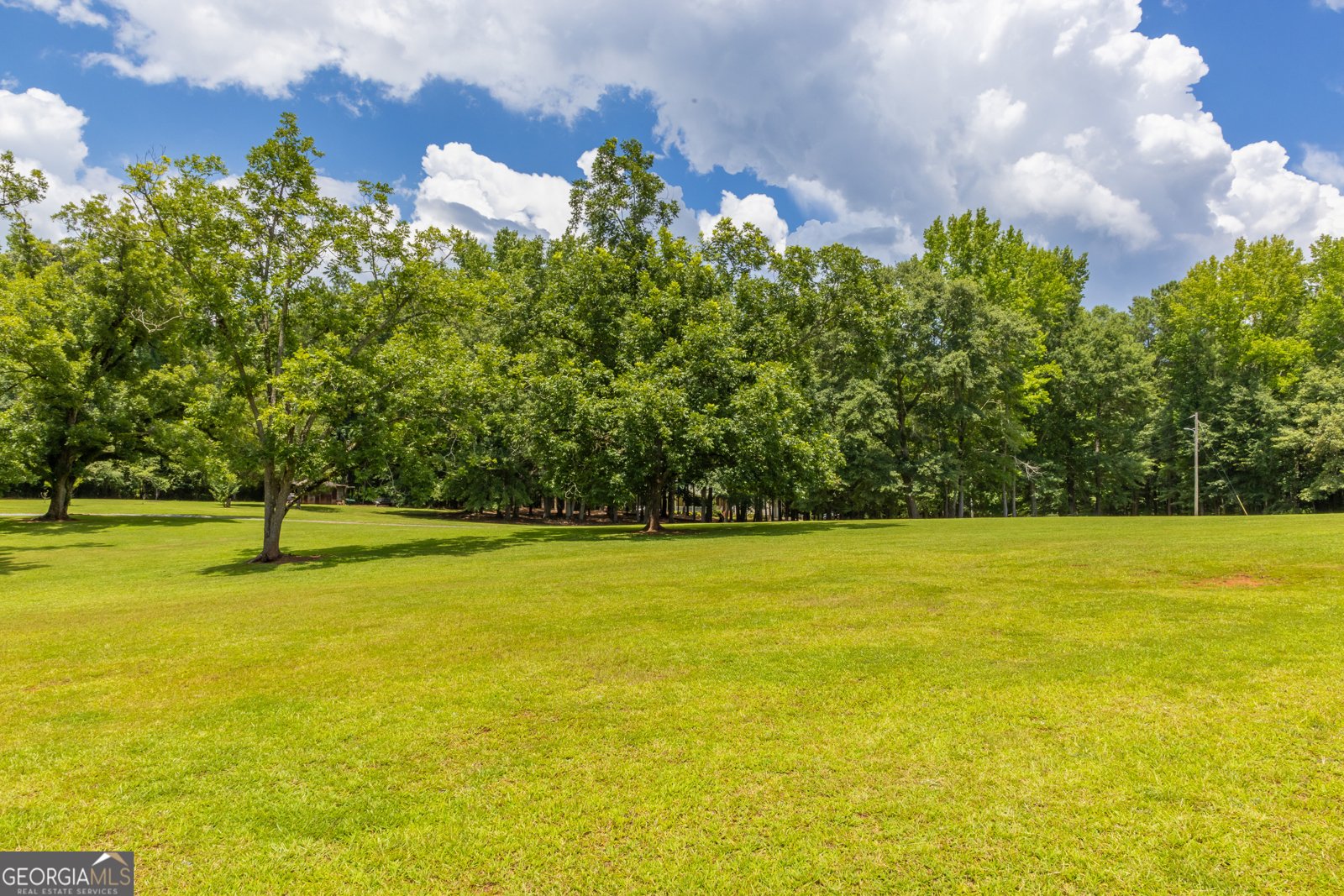 624 Spring Creek Road Thomaston - Photo 99