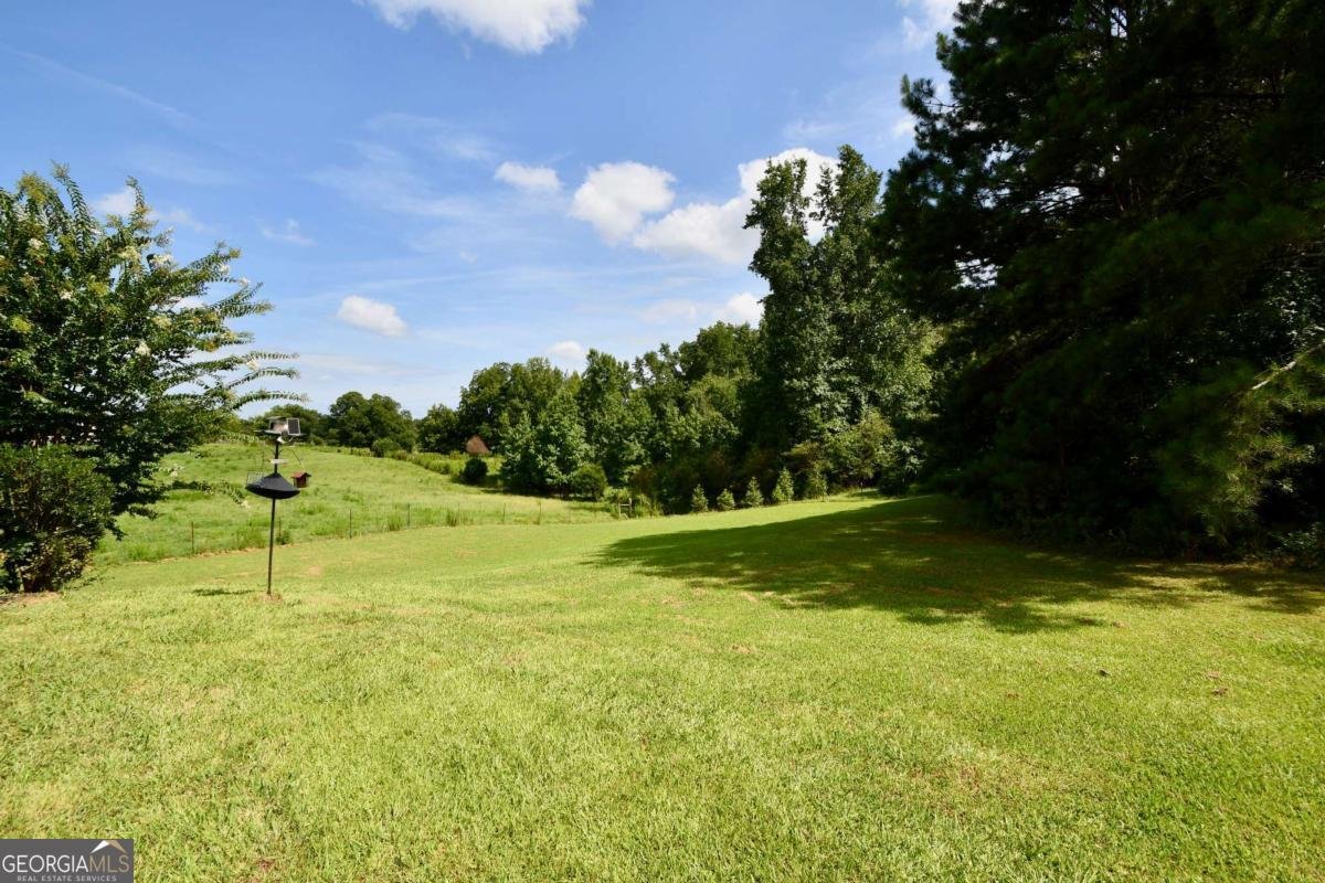2210 Flat Rock Road Watkinsville - Photo 9