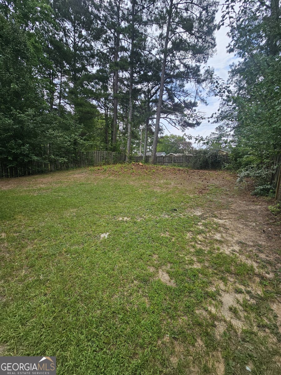 1488 Cain Court Douglasville - Photo 16