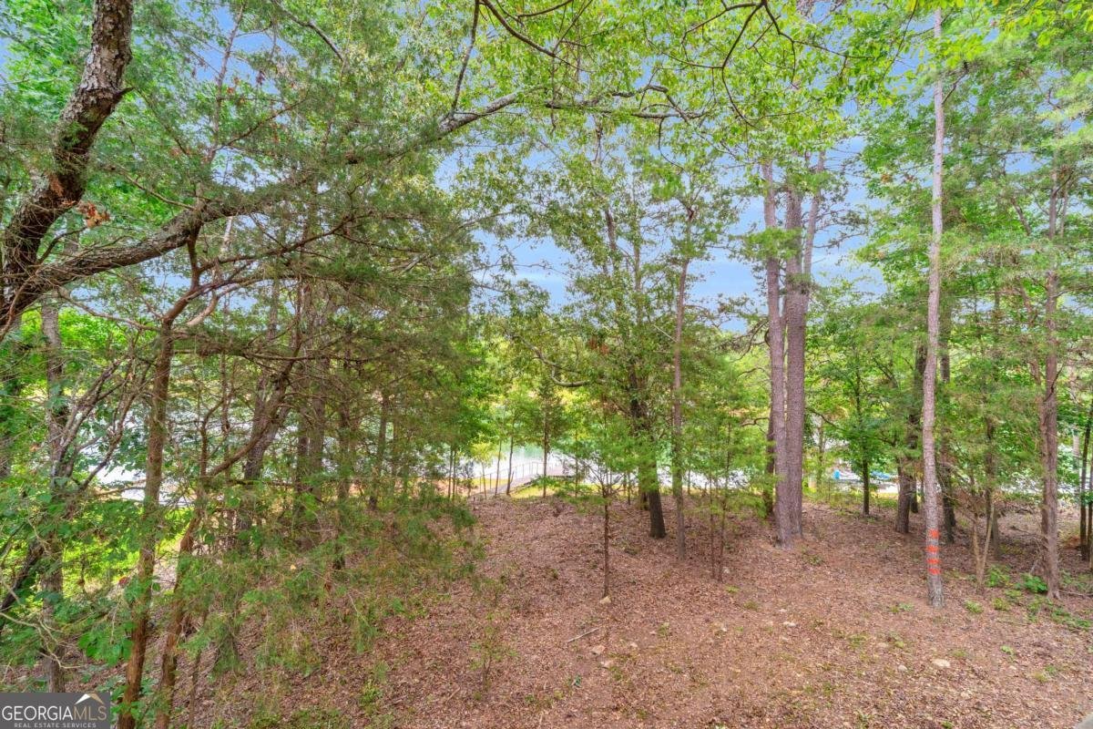 27 Classic Drive Hartwell - Photo 52