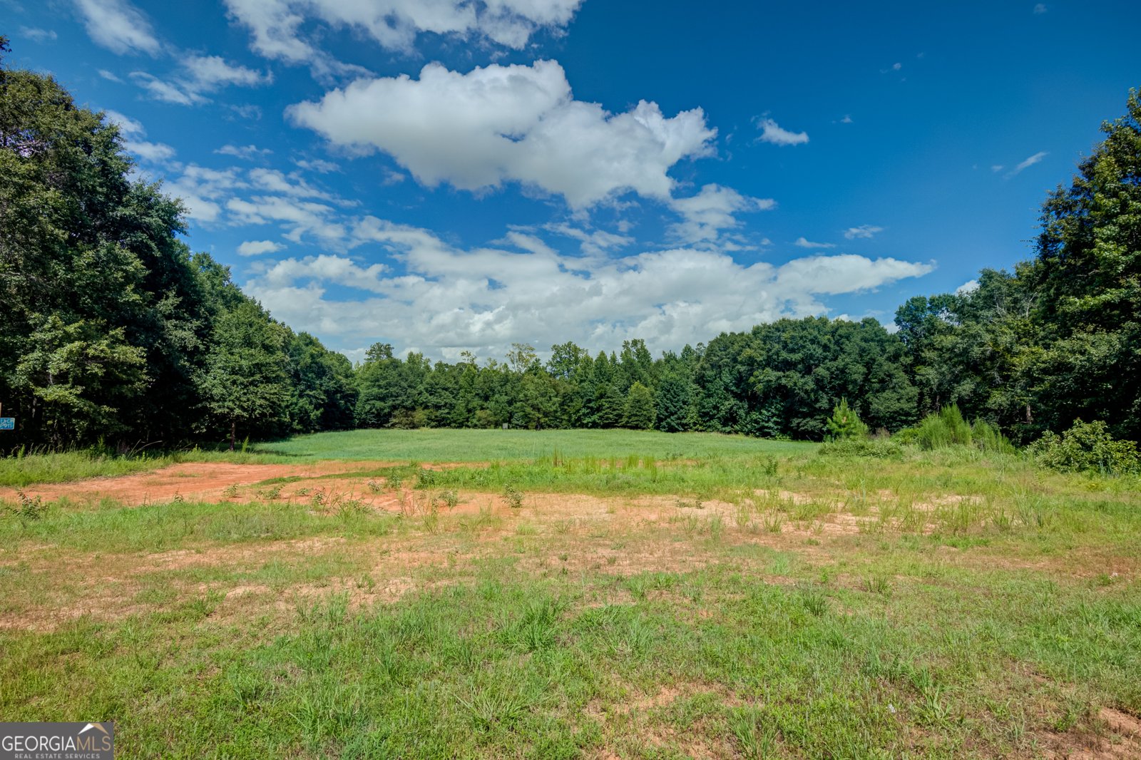 0 Line Creek Creek Senoia - Photo 16