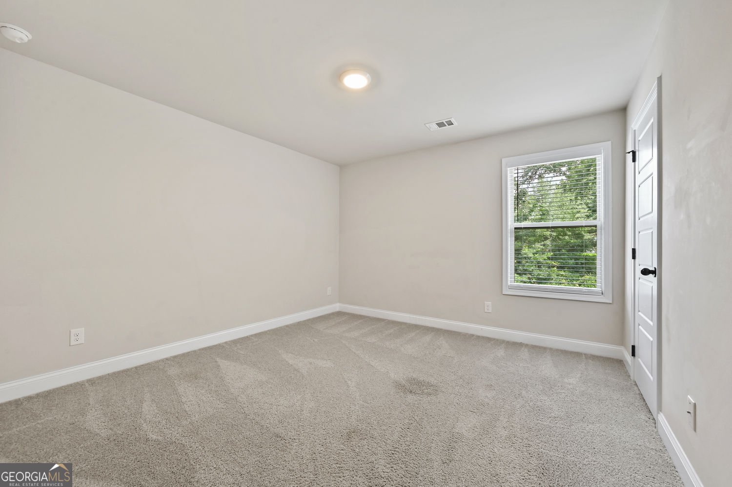 535 Brown Dove Lane Grayson - Photo 45