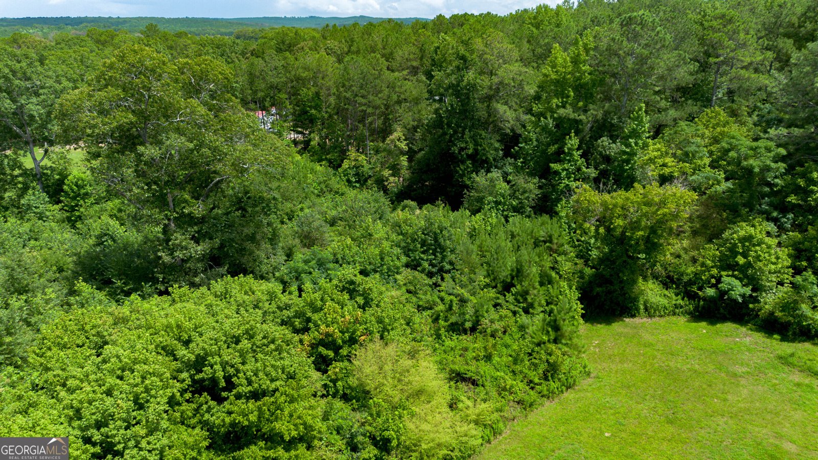 794 County Road 447 Heflin - Photo 36