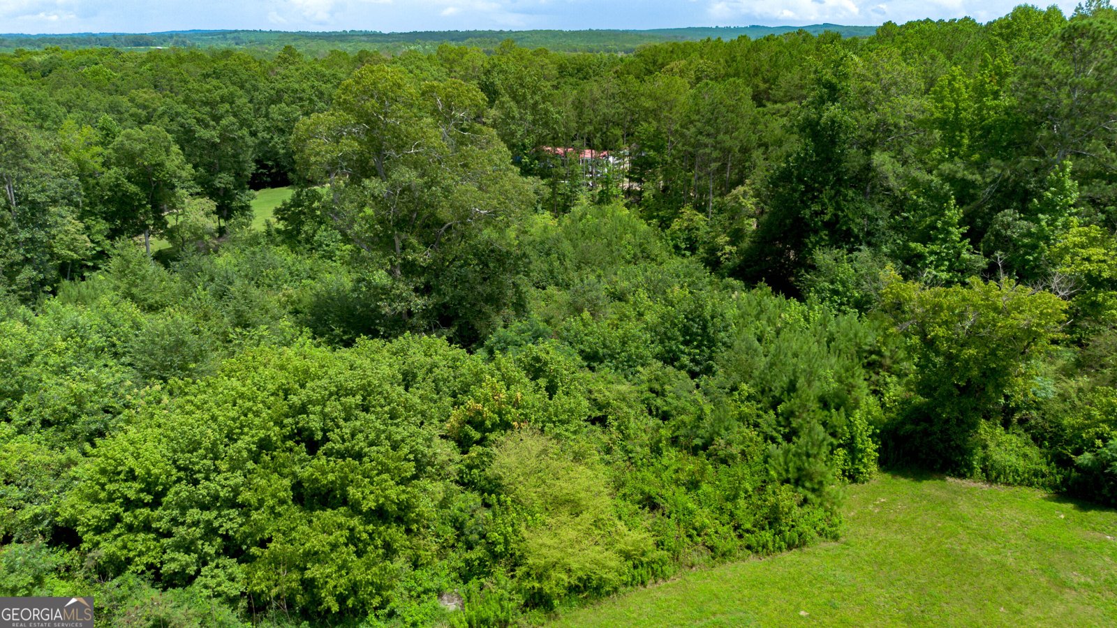 794 County Road 447 Heflin - Photo 41