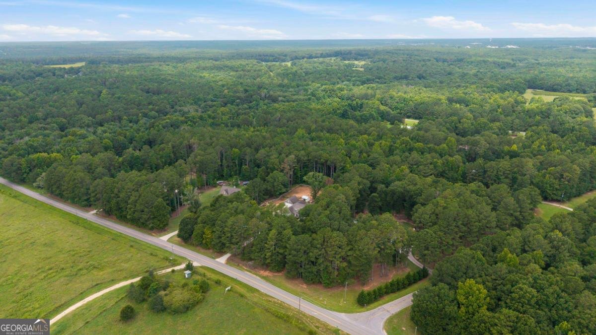 2471 Newborn Road Rutledge - Photo 54
