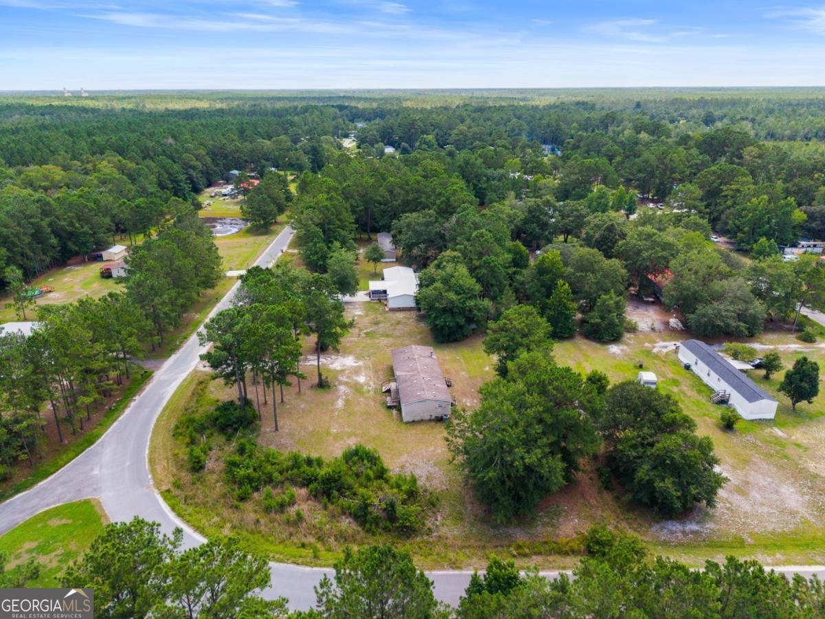 121 Burnt Tree Drive Guyton - Photo 29