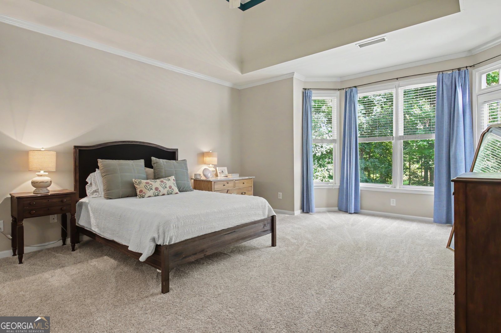205 Hedgewick Way Tyrone - Photo 52