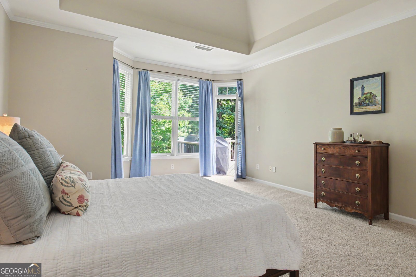 205 Hedgewick Way Tyrone - Photo 54