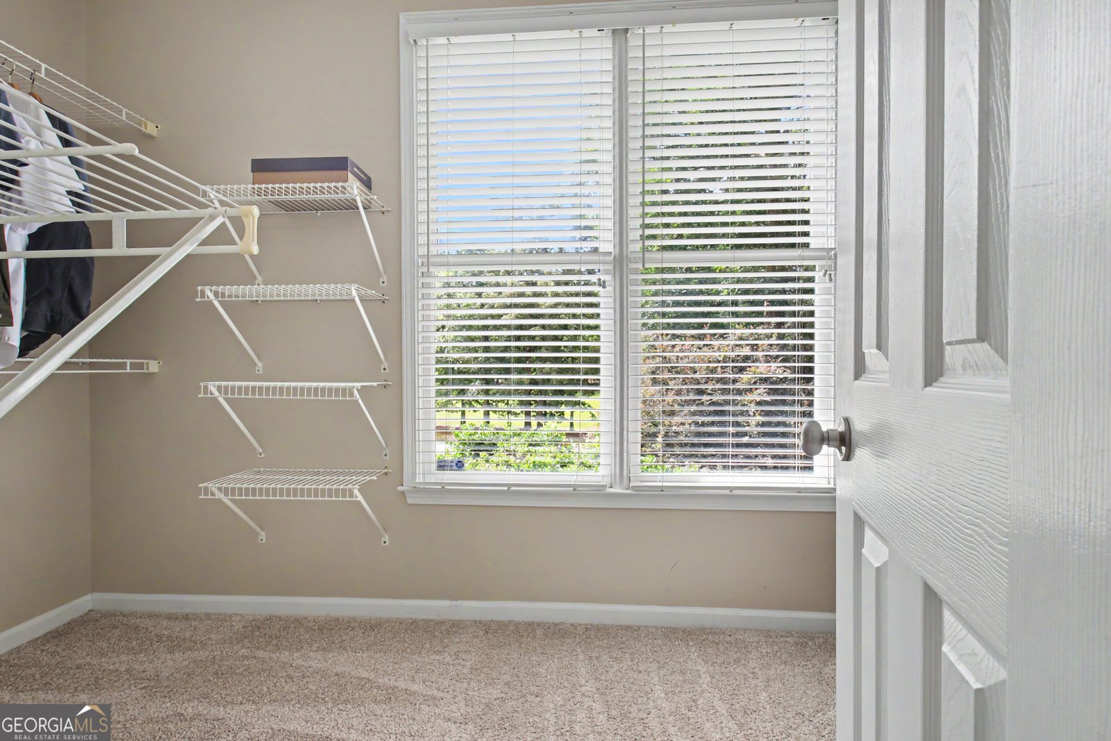 205 Hedgewick Way Tyrone - Photo 63