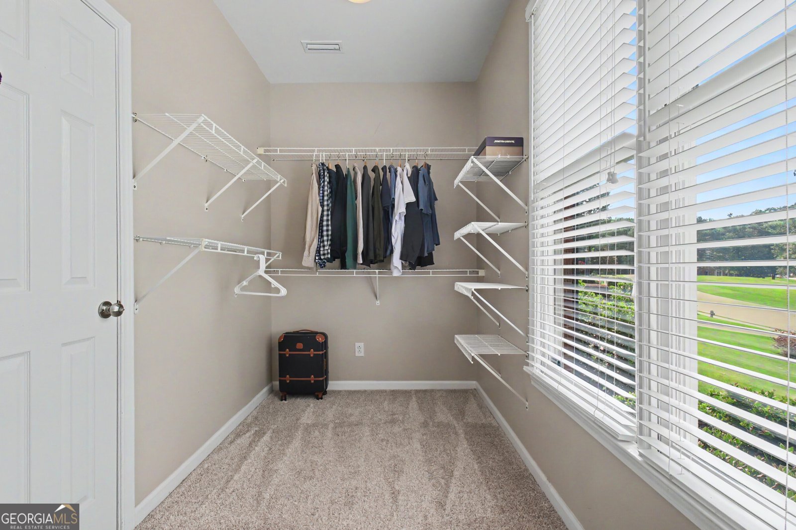 205 Hedgewick Way Tyrone - Photo 65
