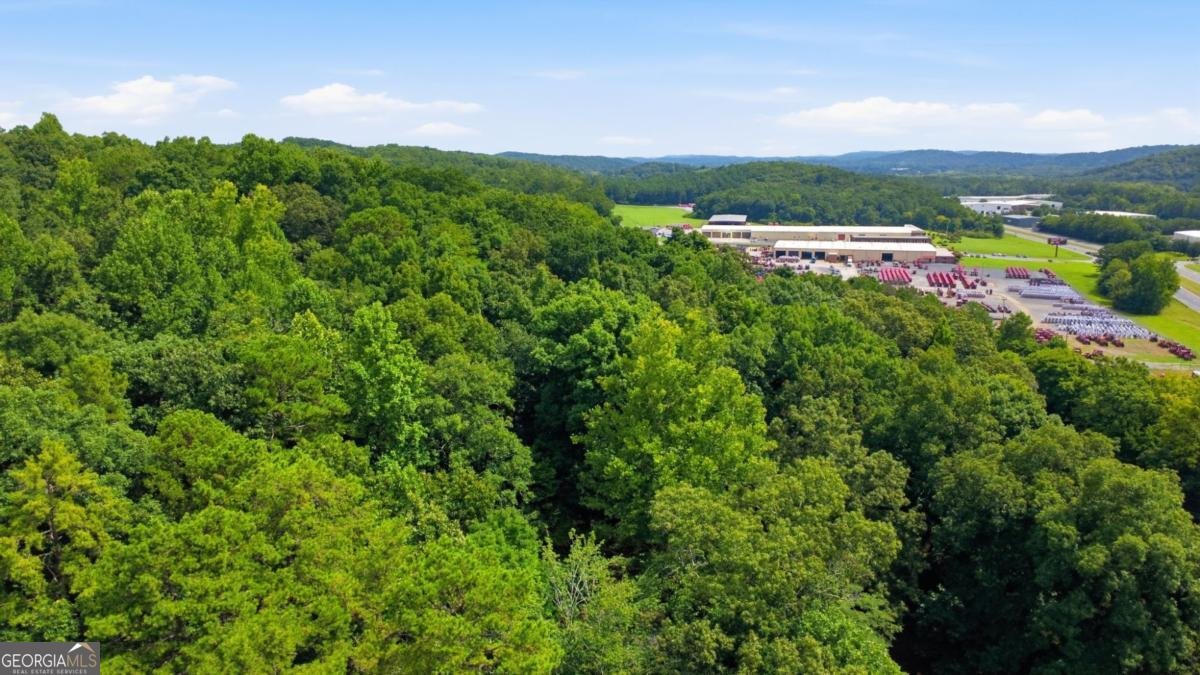 2250 Cave Spring Road Rome - Photo 41