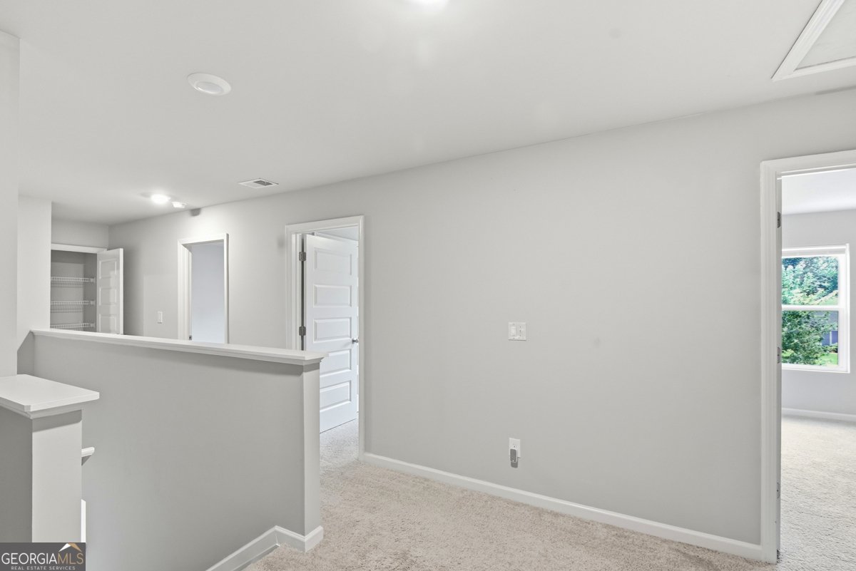 141 Cranapple Lane McDonough - Photo 31