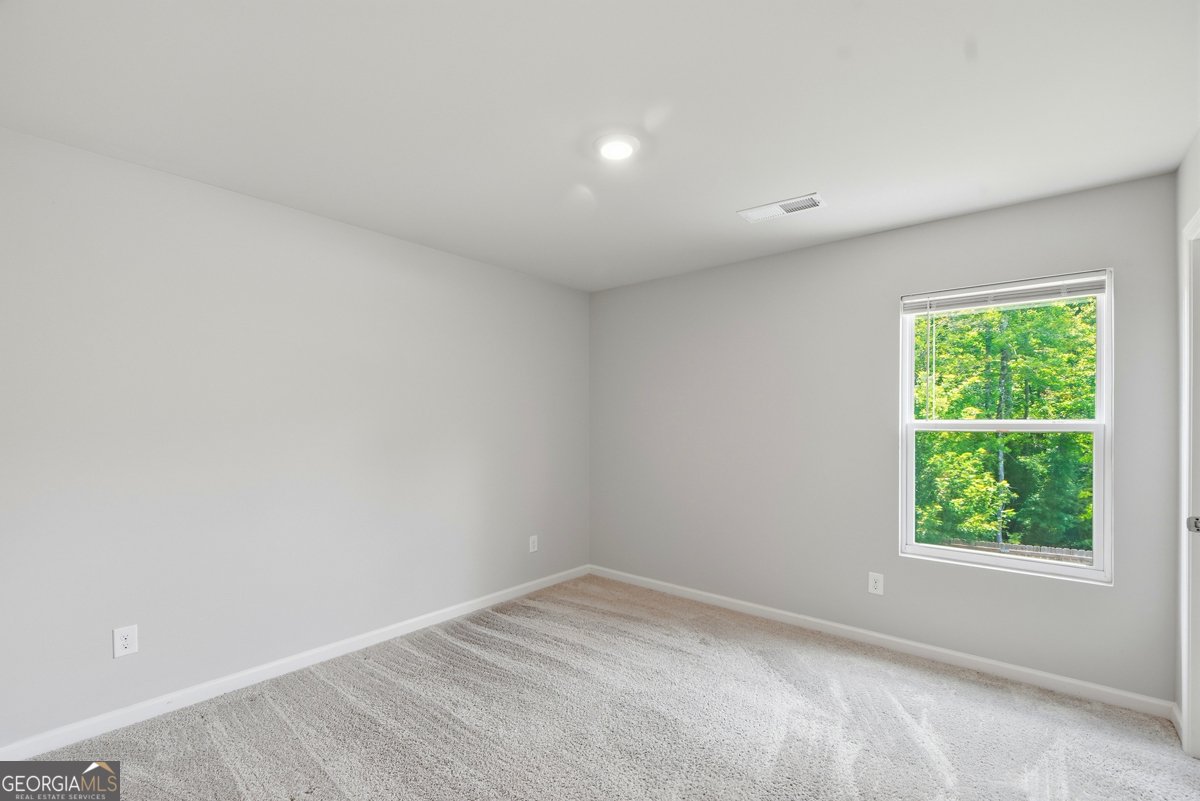 141 Cranapple Lane McDonough - Photo 43