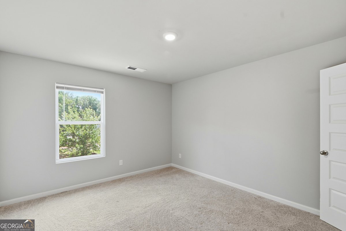 141 Cranapple Lane McDonough - Photo 47