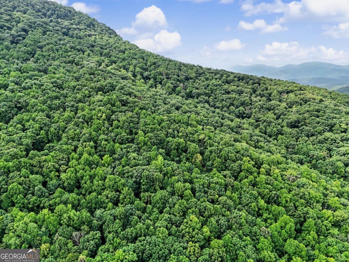 1583 Spring Cove Road Blairsville - Photo 65