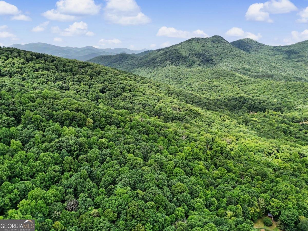 1583 Spring Cove Road Blairsville - Photo 66