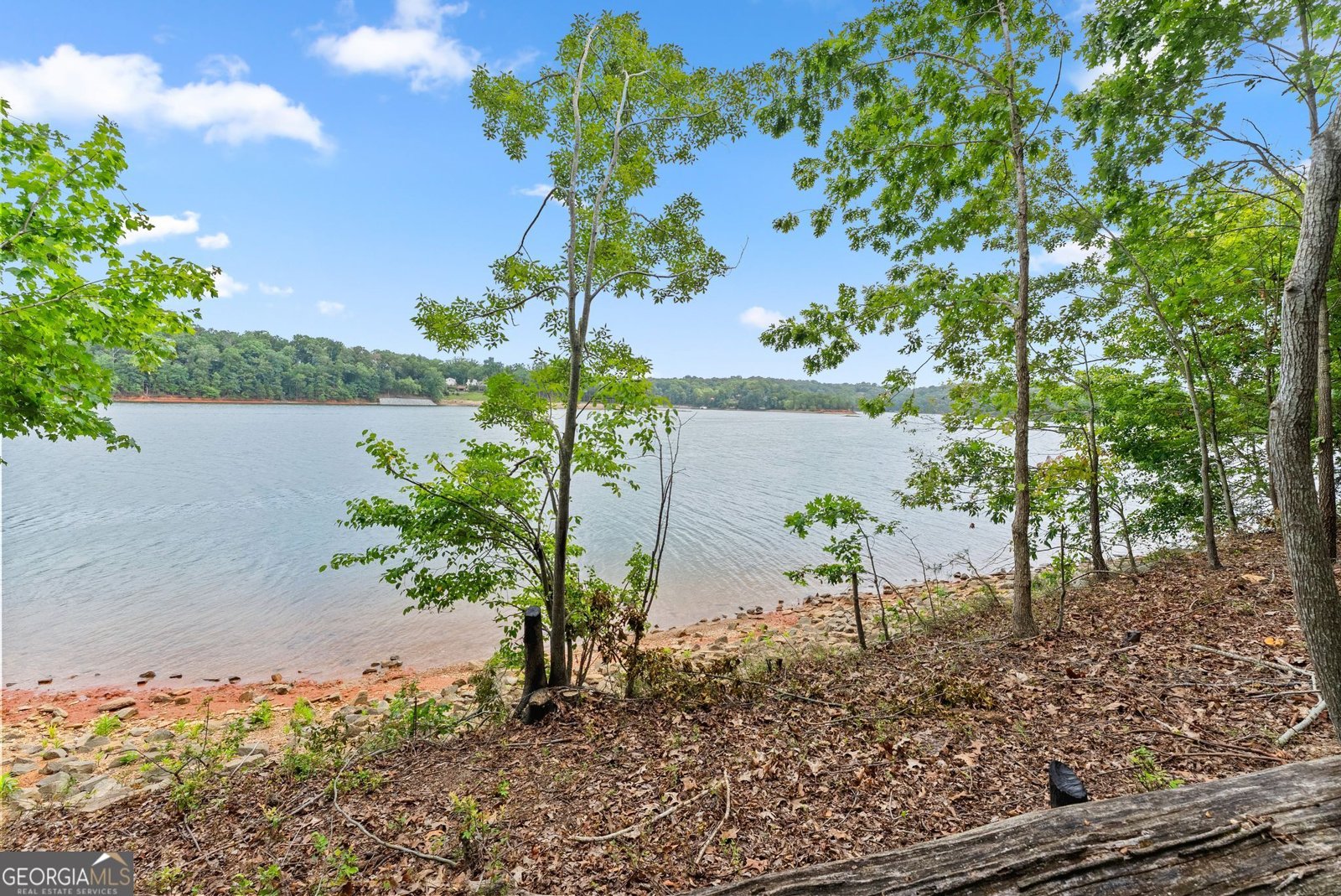 2819 Point Overlook Gainesville - Photo 69