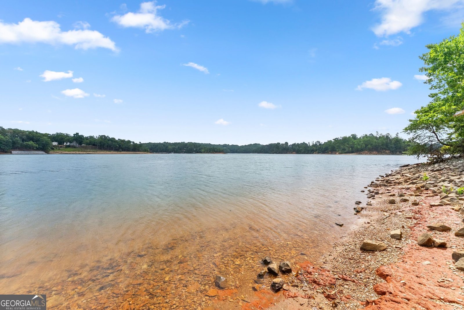 2819 Point Overlook Gainesville - Photo 80