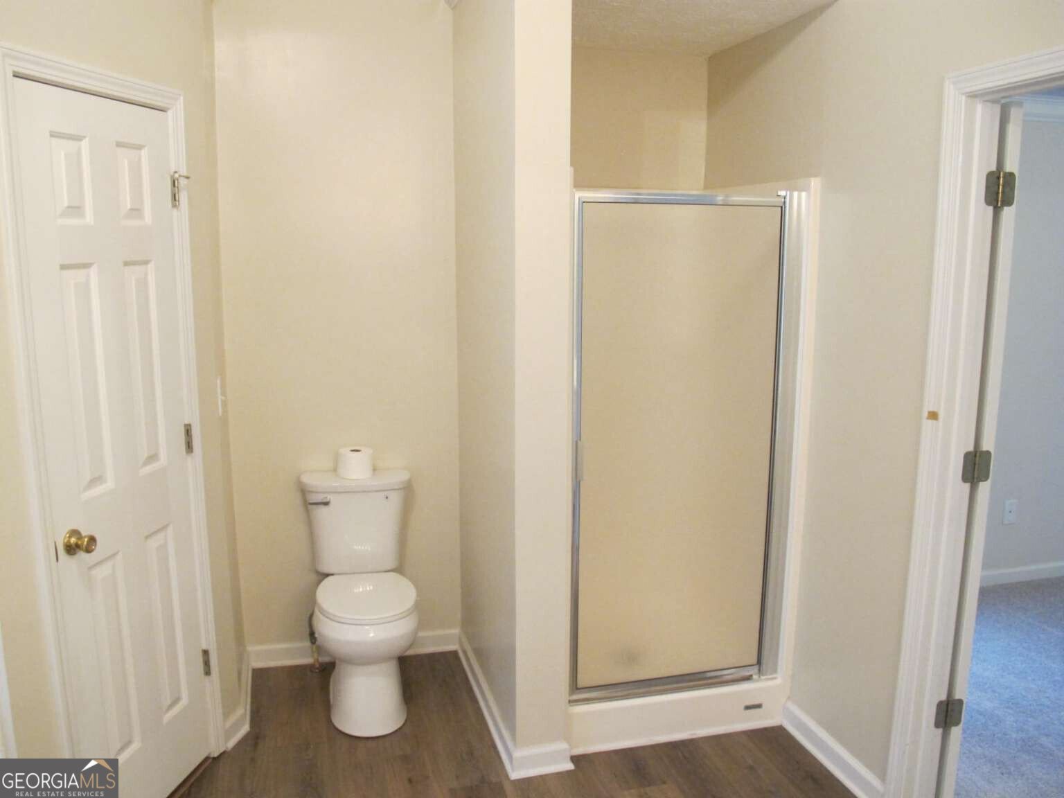 518 Red Tip Court Loganville - Photo 11