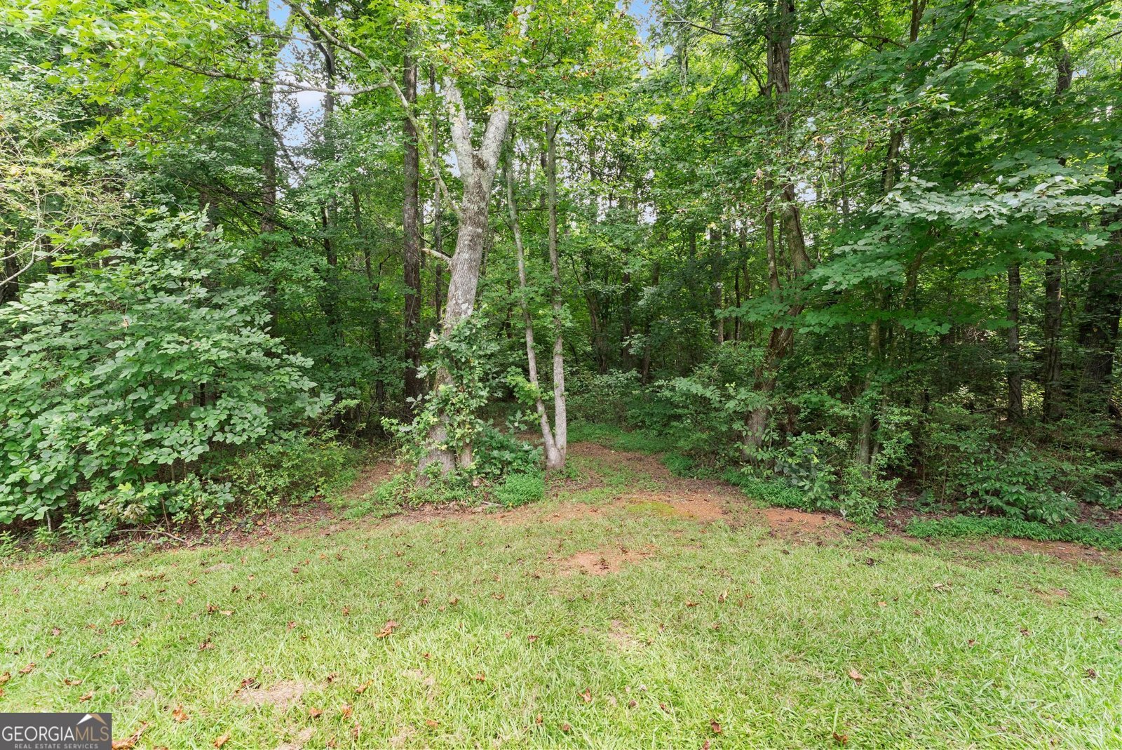 8817 Shallow Creek Trail Clermont - Photo 49