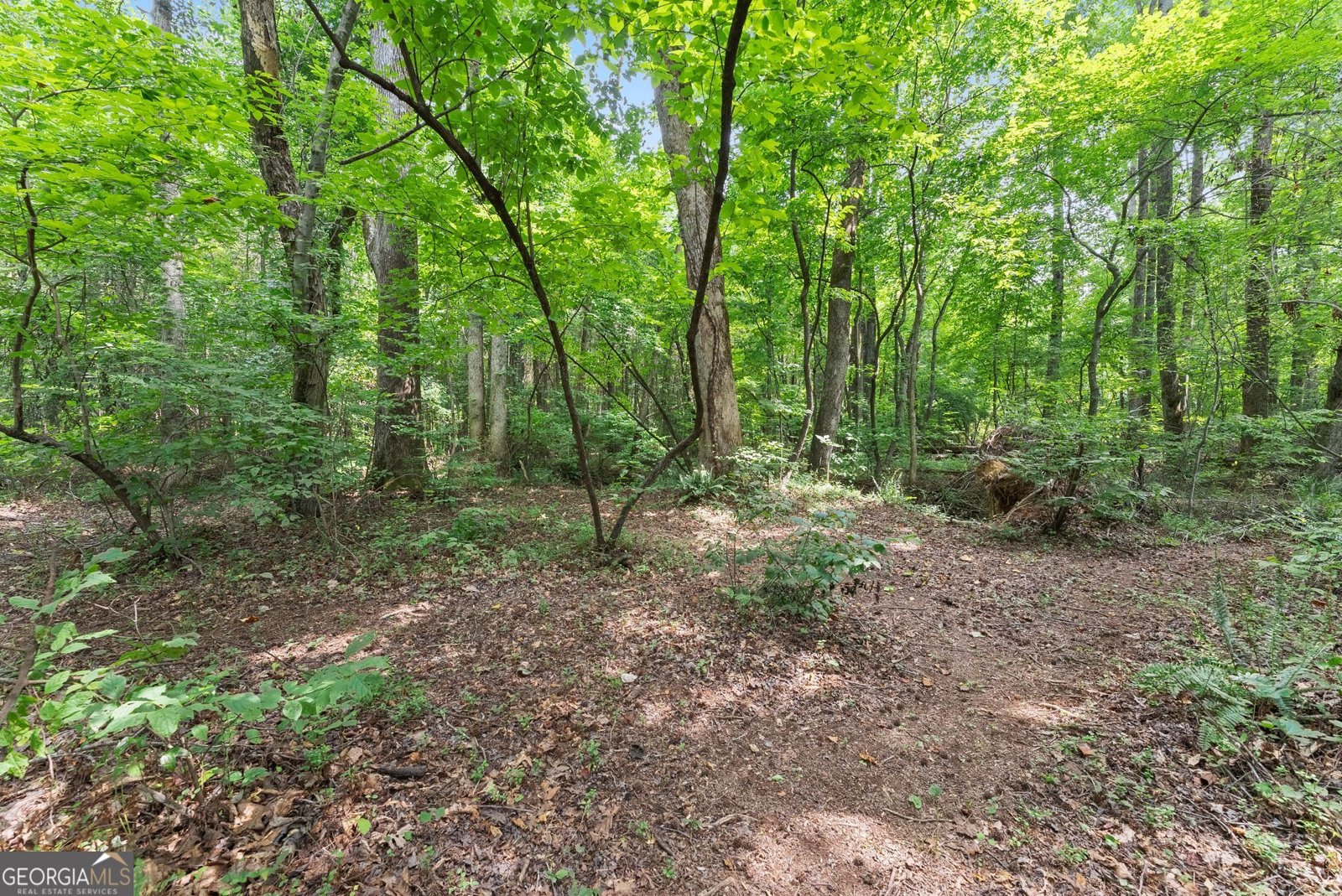 8817 Shallow Creek Trail Clermont - Photo 50