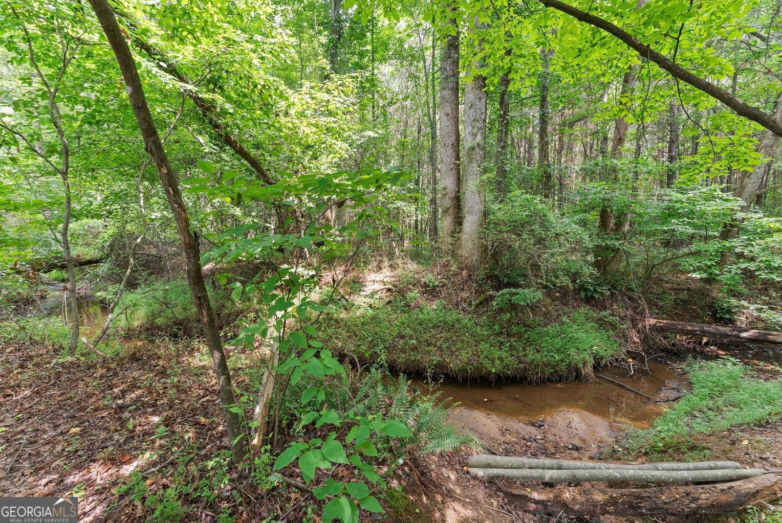 8817 Shallow Creek Trail Clermont - Photo 51