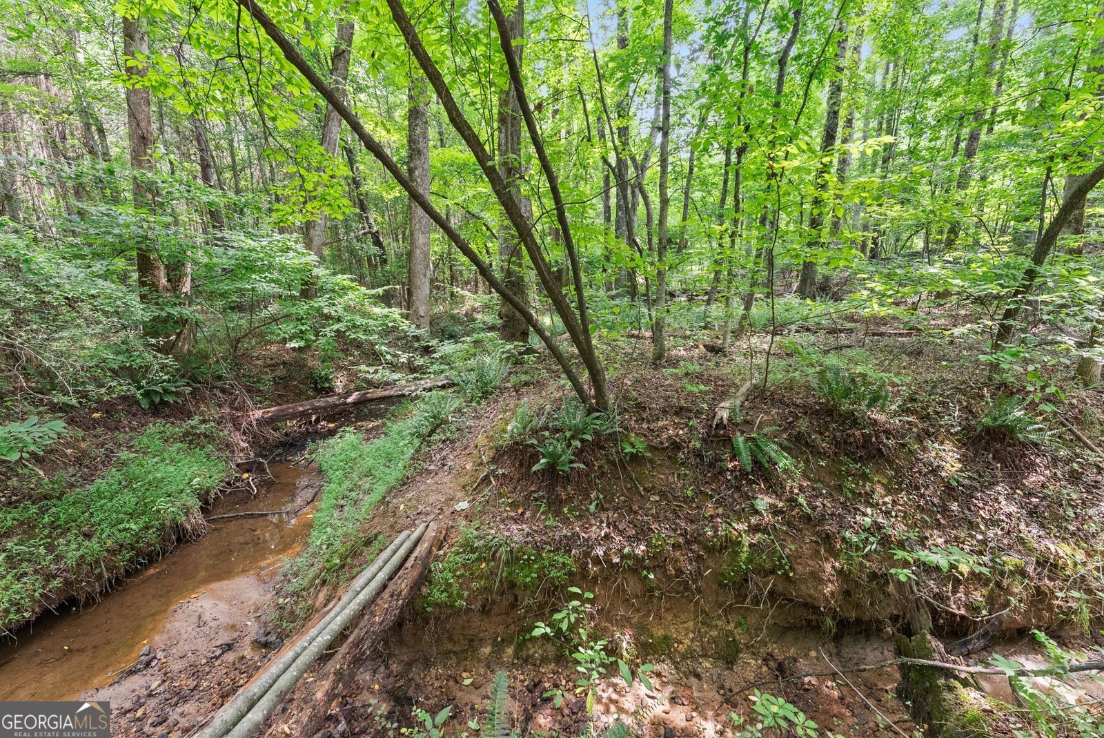 8817 Shallow Creek Trail Clermont - Photo 52